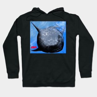 Jaws Forward Hoodie